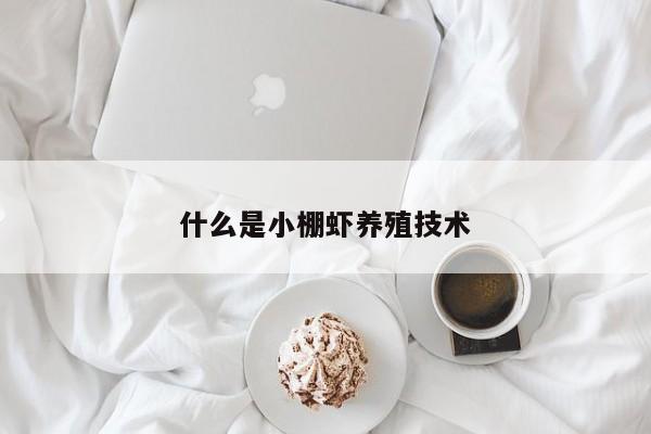 什么是小棚虾养殖技术