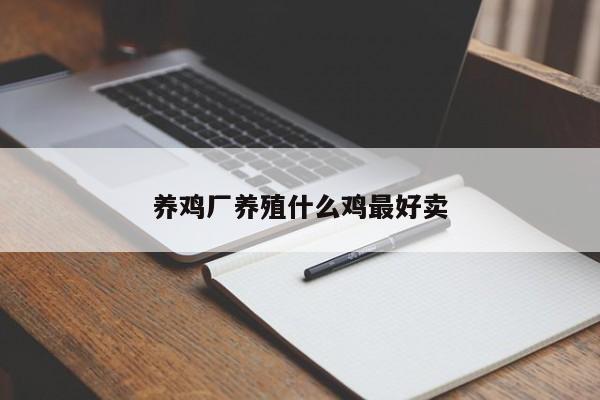 养鸡厂养殖什么鸡最好卖