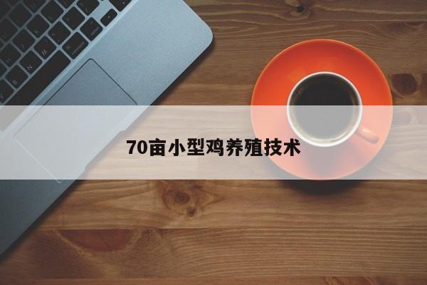 70亩小型鸡养殖技术