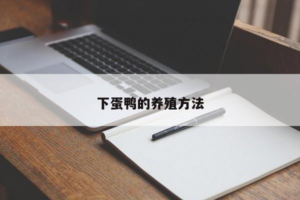 下蛋鸭的养殖方法