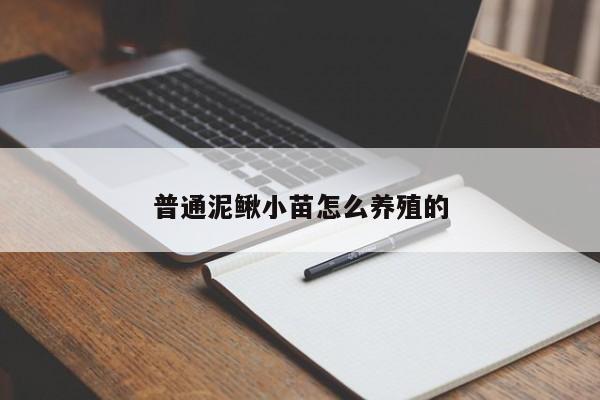 普通泥鳅小苗怎么养殖的